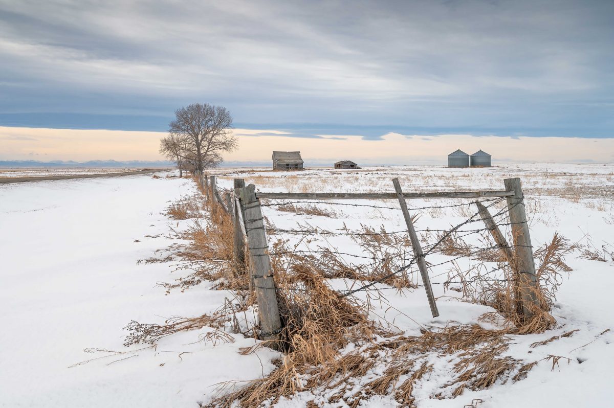 Abandoned homestead on the prairie near Blackie, Alberta, Canada