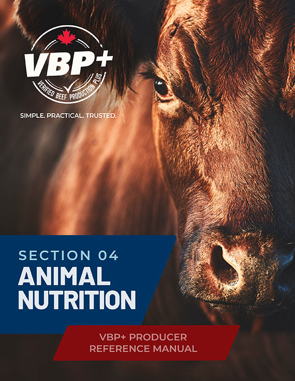 Verified Beef Production Plus - Producer Manual